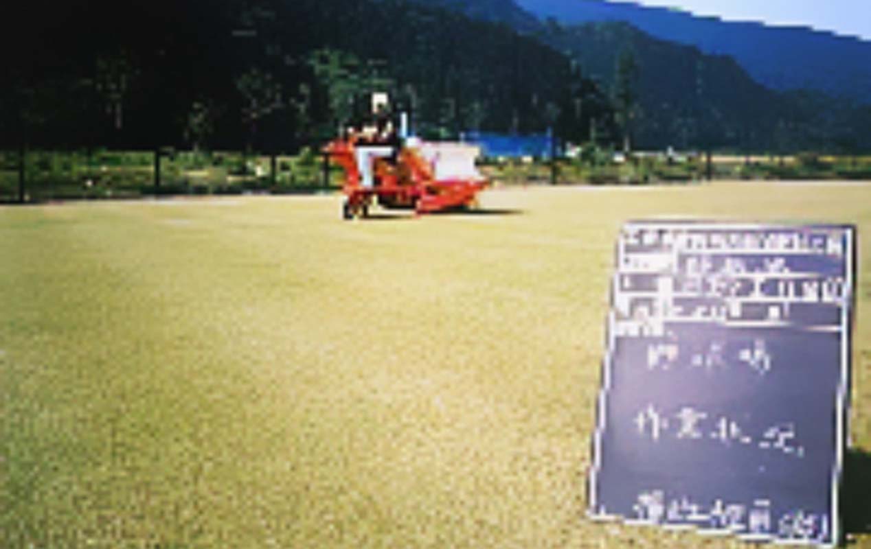 目砂