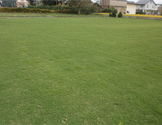 施肥
